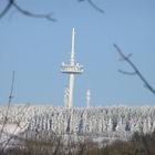 Hoherodskopf Januar 2006