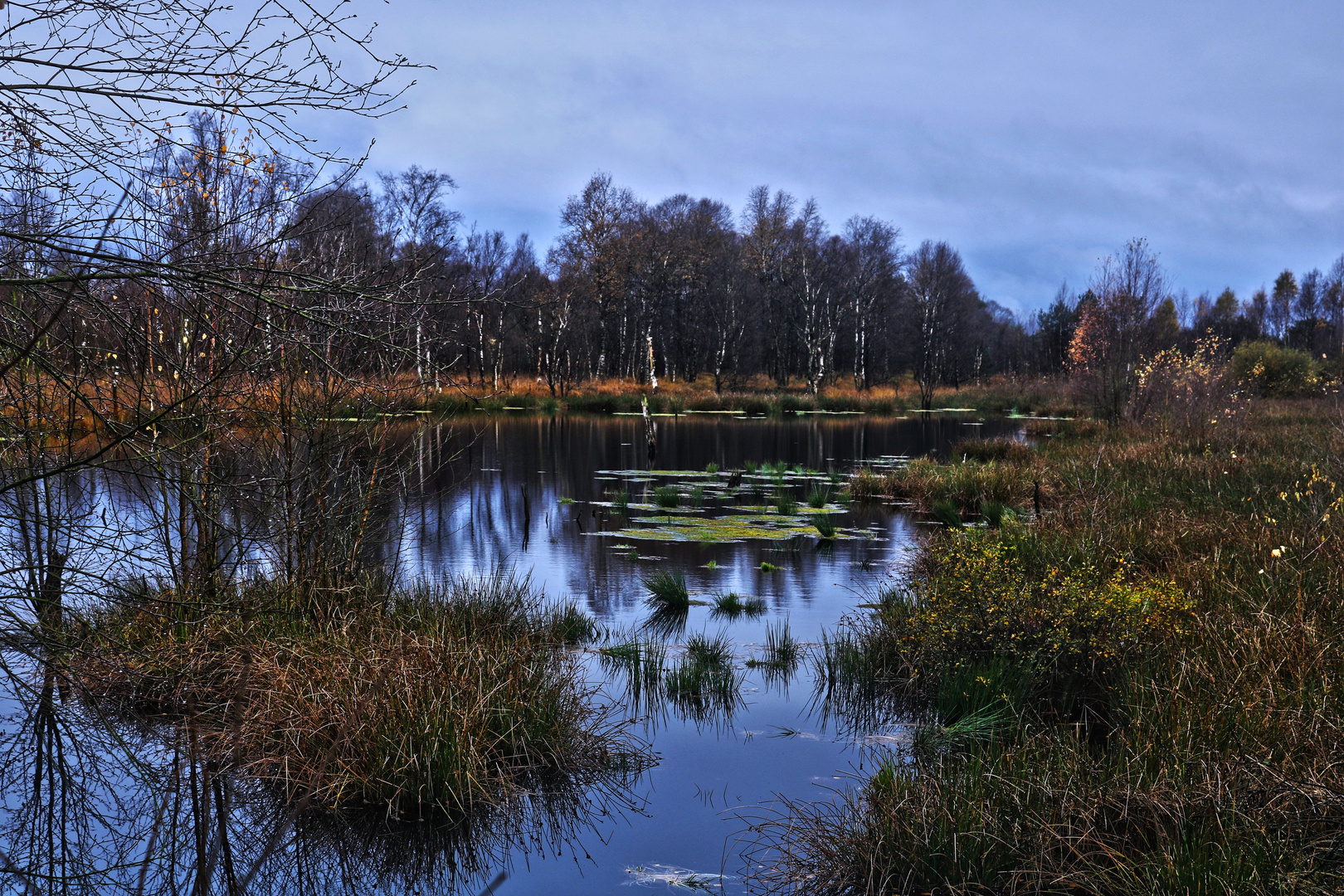 Hohes Moor - 04