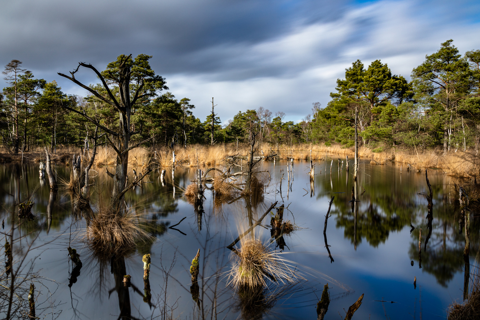 Hohes Moor Foto & Bild spezial, wasser, himmel Bilder auf