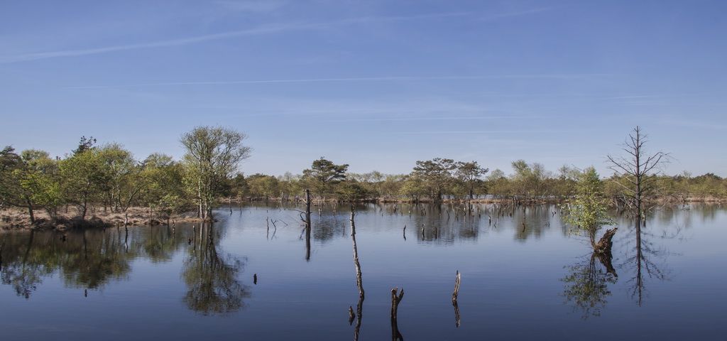 Hohes Moor