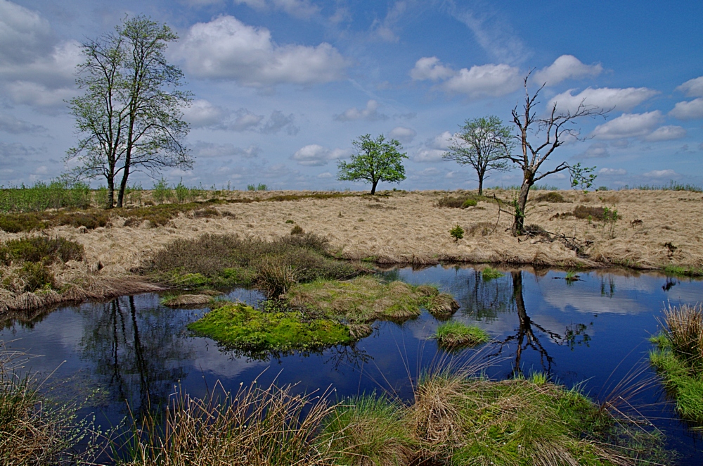 Hohes Venn 10.5.15