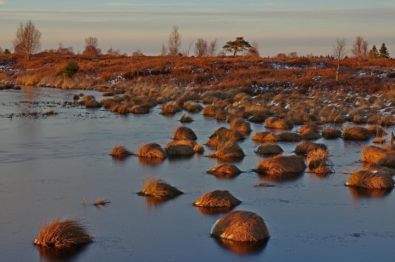 Hohes Venn 12.02.16