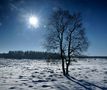 " Hohes Venn " - 18 - " Wanderung im Winter " - " Gegenlicht " de wolfgang und maritha 