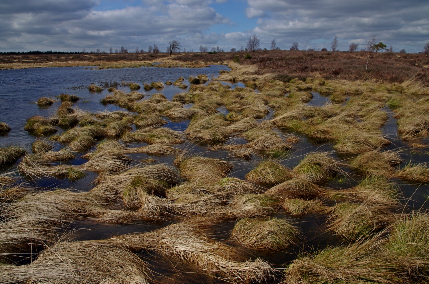 Hohes Venn 2.04.15