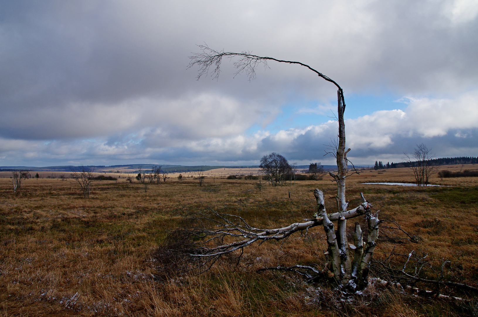 Hohes Venn 21. November 2015