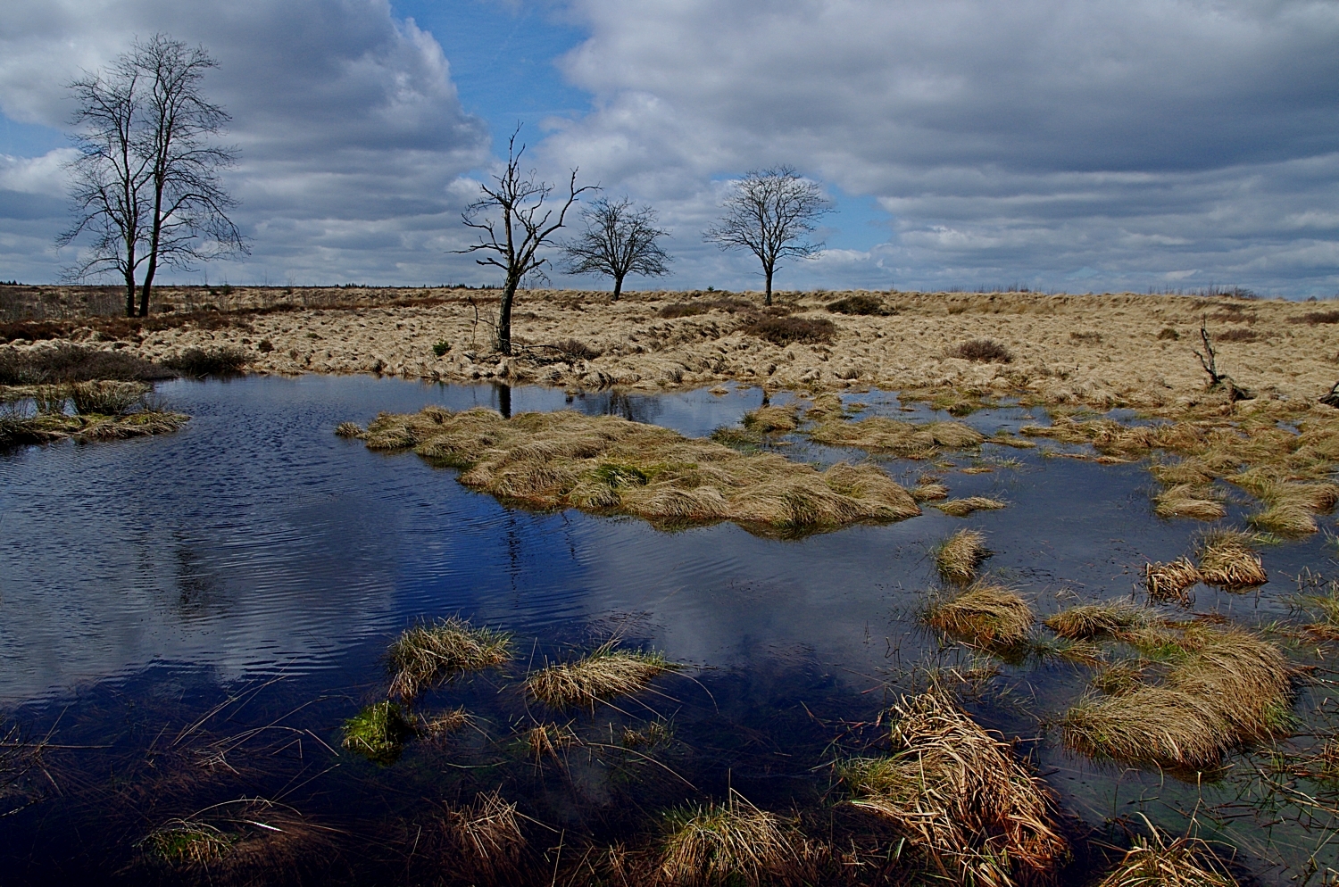 Hohes Venn 2.4.15