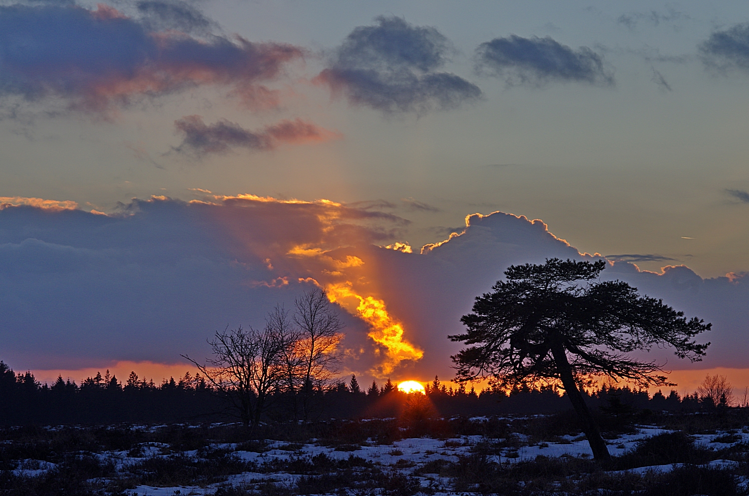 Hohes Venn 27.2.15