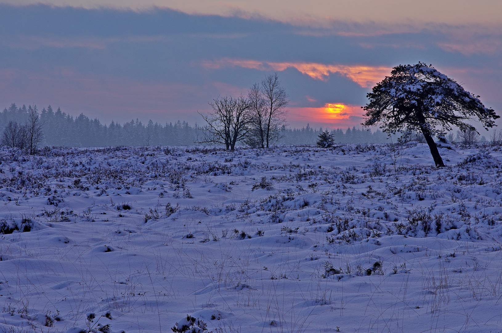 Hohes Venn 3.3.16