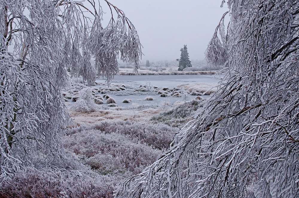 Hohes Venn 4.12.14