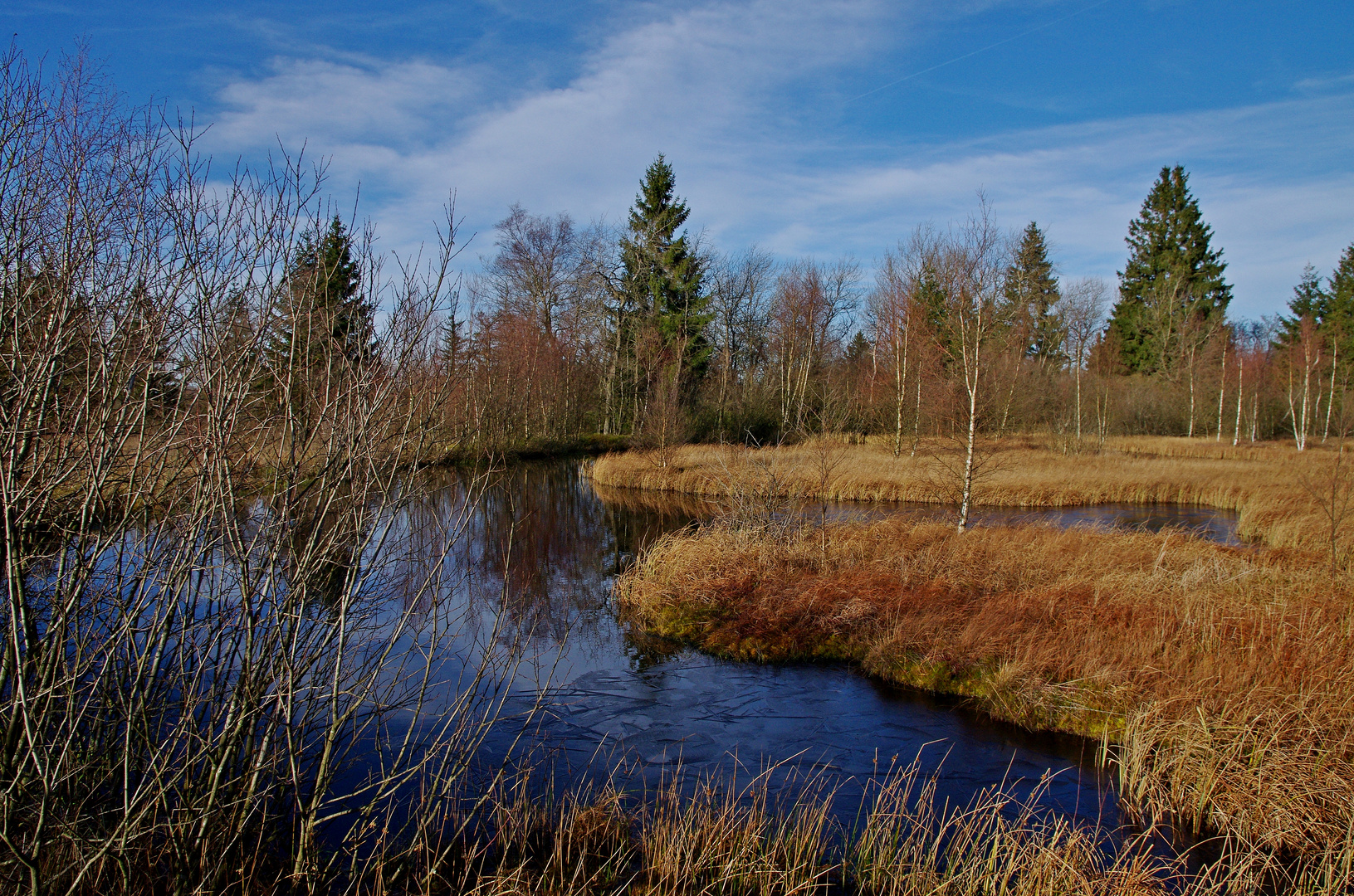 Hohes Venn