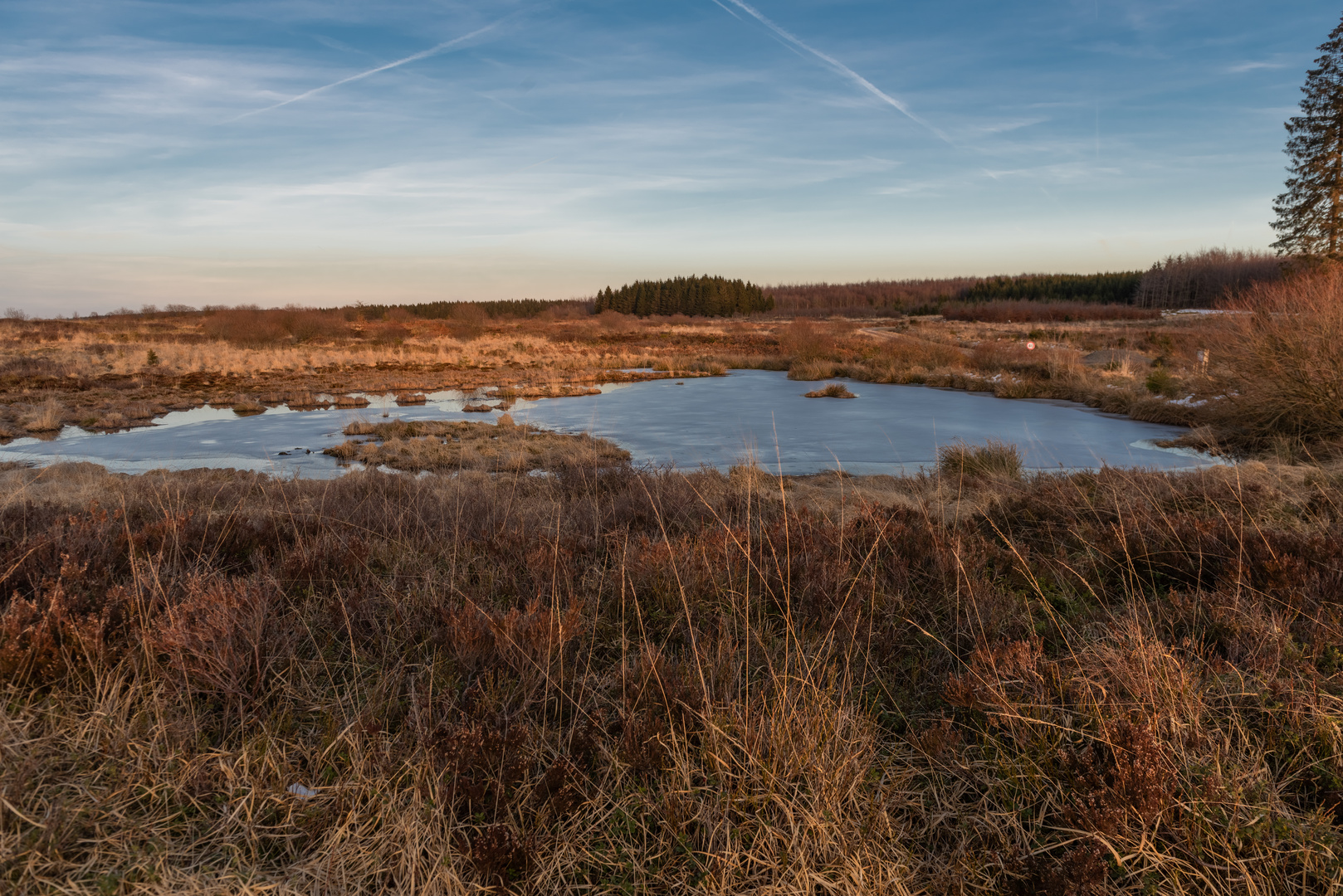 hohes Venn