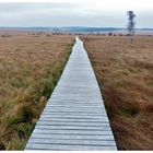 Hohes Venn - auf Stelzen stehender Weg durch die Moorlandschaft