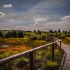 Hohes Venn Aufnahme bei Mützenich / Roetgen (Brackvenn)