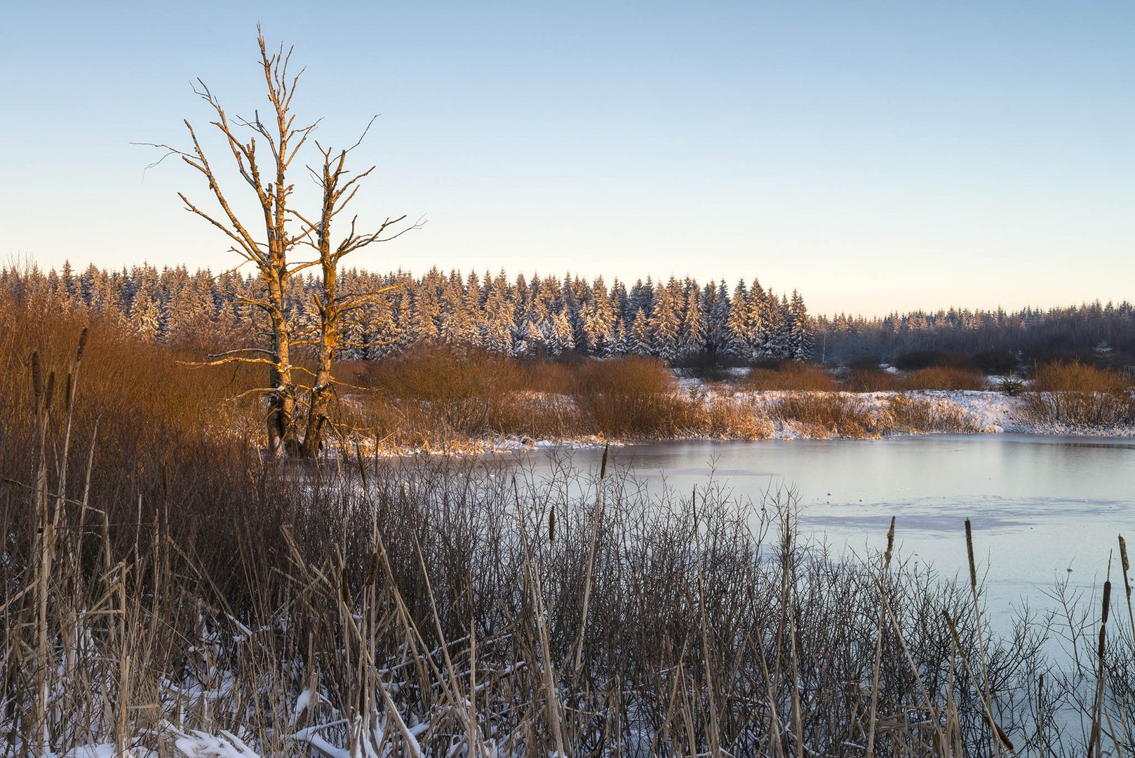 Hohes Venn bei strahlender Sonne