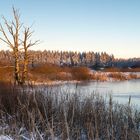 Hohes Venn bei strahlender Sonne