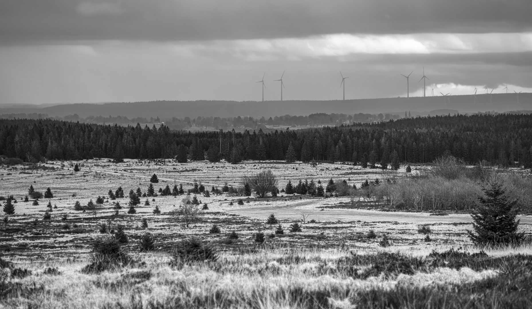 Hohes Venn, Blick vom Signal Botrange...