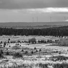 Hohes Venn, Blick vom Signal Botrange...