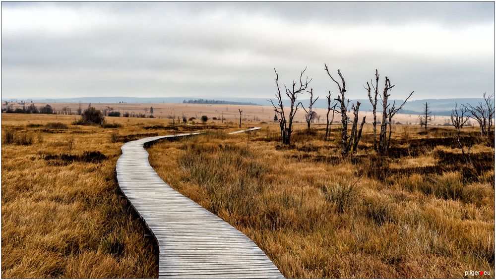 Hohes Venn - Der Weg