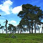 Hohes Venn - Hautes Fagnes