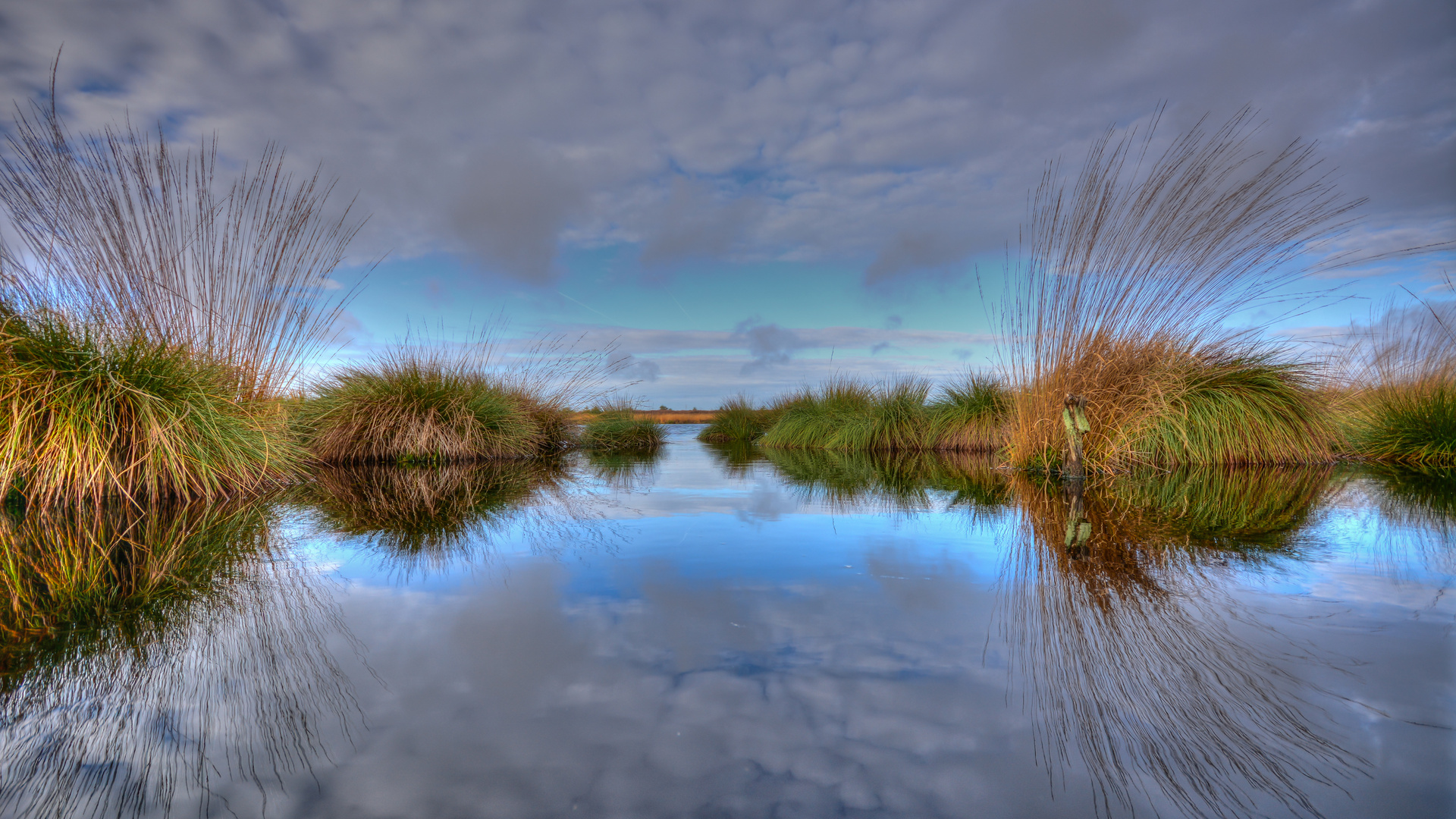 "Hohes Venn Herbst im Herbst"