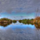 "Hohes Venn Herbst im Herbst"