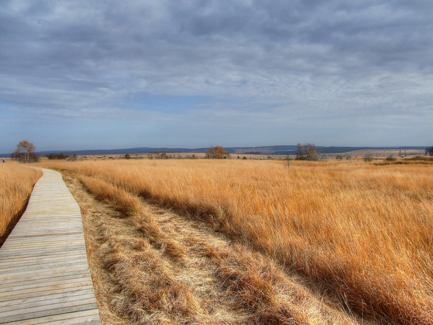 Hohes Venn im Herbst 2012