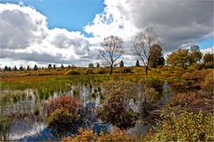 Hohes Venn im Herbst