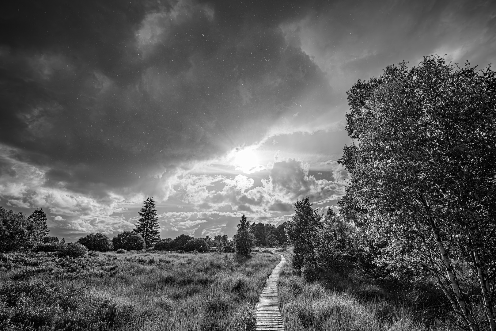 Hohes Venn im Regenschauer (1) SW