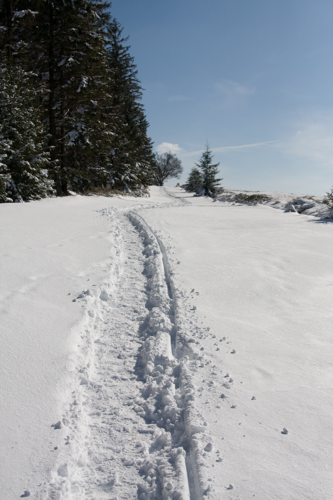 Hohes Venn im Schnee