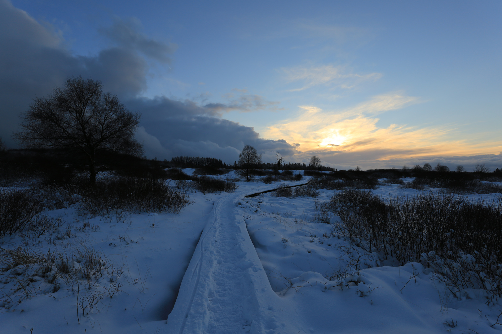 Hohes Venn im Winter