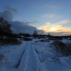 Hohes Venn im Winter