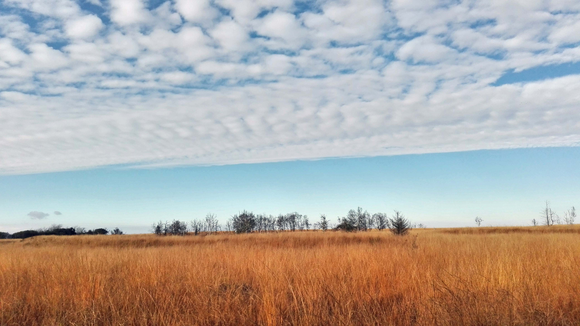 Hohes Venn November 2016 mit Wolken