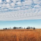 Hohes Venn November 2016 mit Wolken