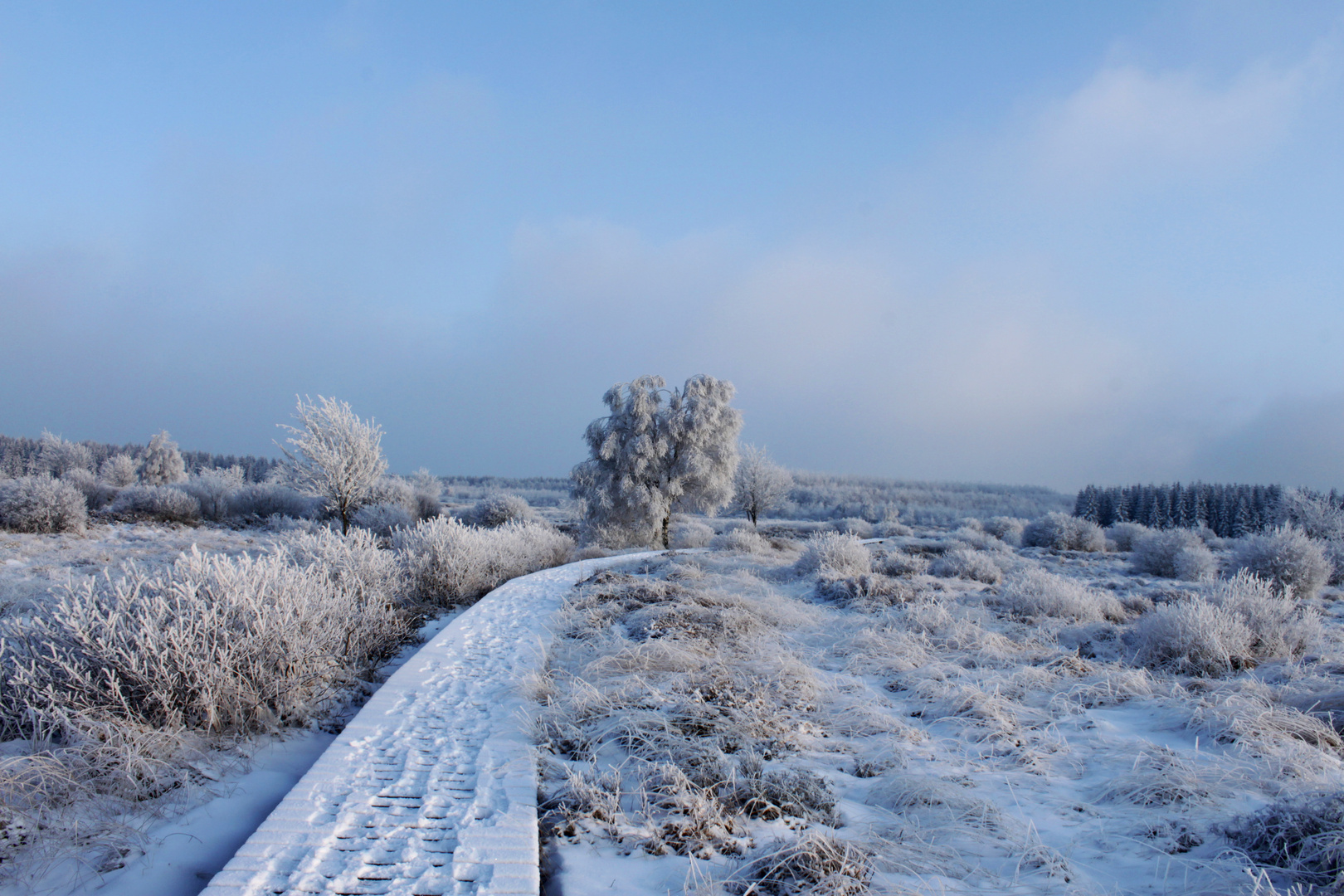 Hohes Venn Schauinsland