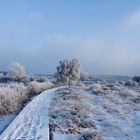 Hohes Venn Schauinsland