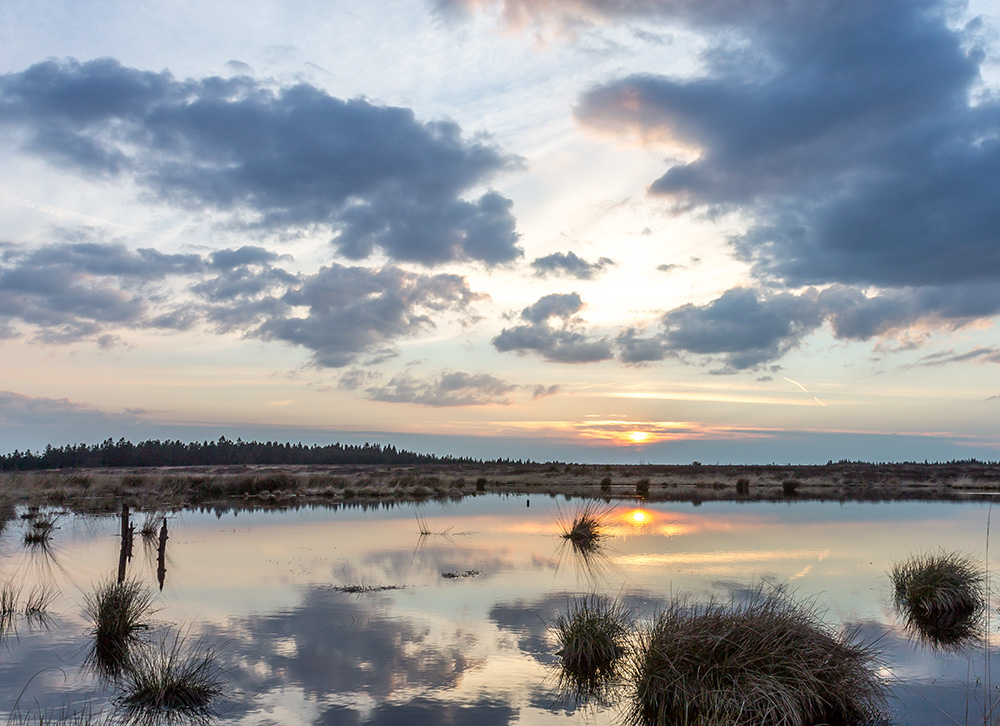 Hohes Venn Sonnenuntergang