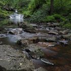 Hohes Venn Wasserlauf