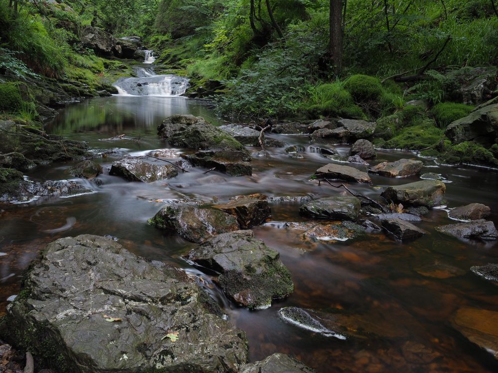 Hohes Venn Wasserlauf