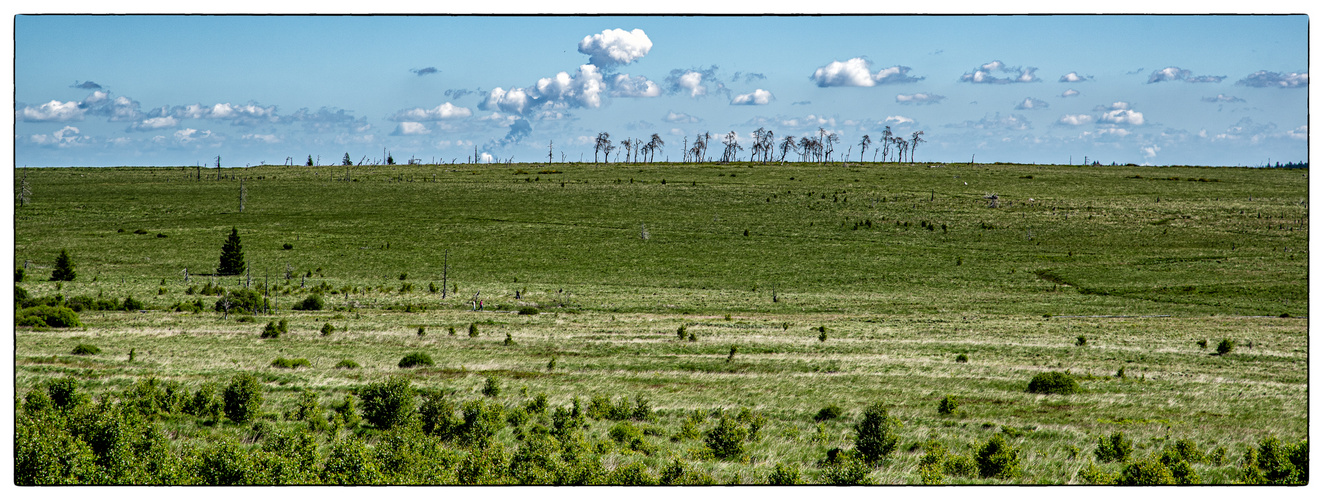 Hohes Venn, weites Land