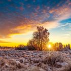 hohes venn winter sunset