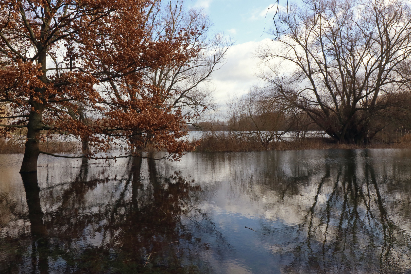 Hohes Wasser