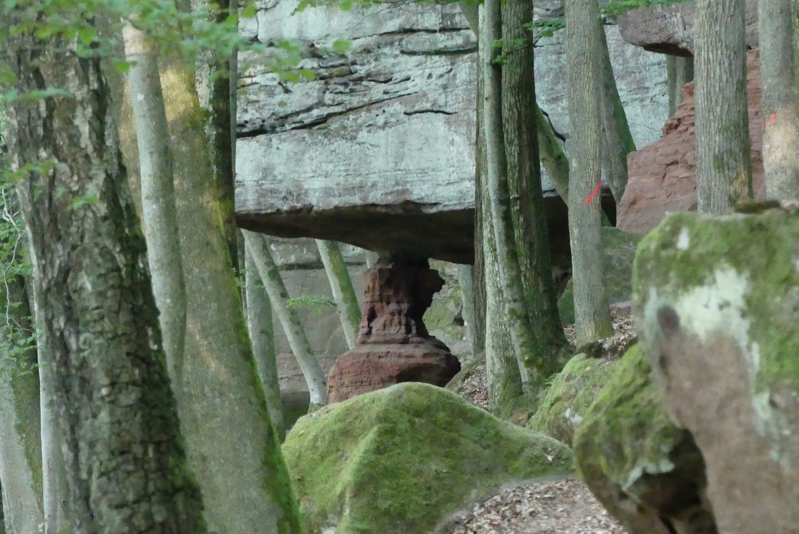 Hohle Felsen bei Dahn