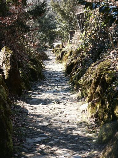 Hohle Gasse