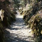 Hohle Gasse