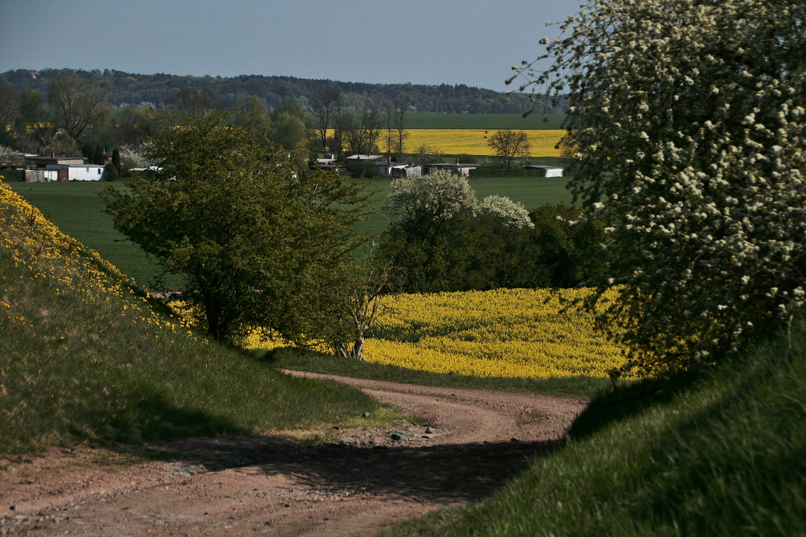 Hohle Gasse