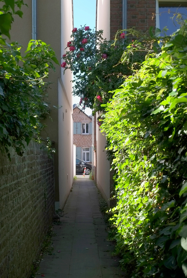 hohle Gasse