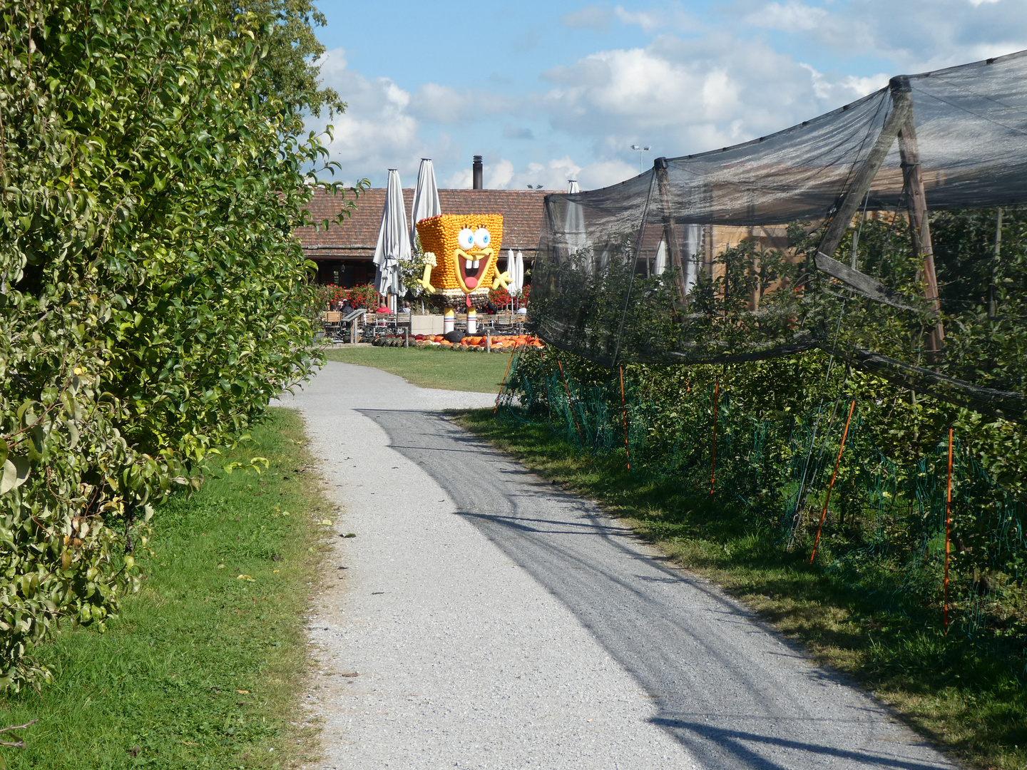 Hohle Gasse mit Sunnabob