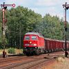 Hohlfeld Sven