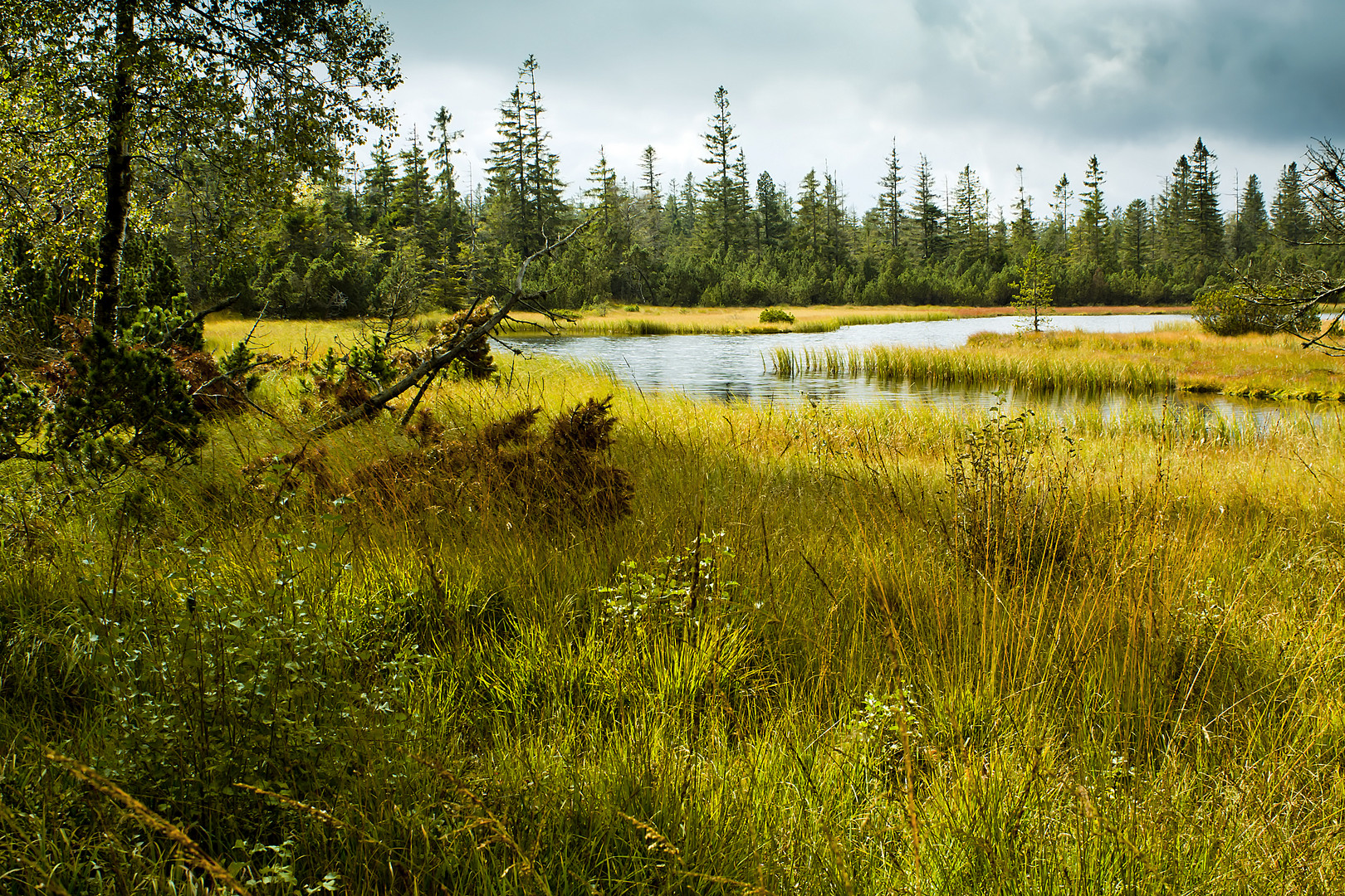 Hohlohsee-Herbst