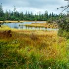 Hohlohsee-Herbstfarbe